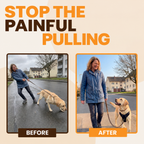 Amble Hound No-Pull Harness
