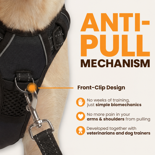Amble Hound No-Pull Harness