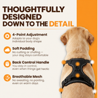 Amble Hound No-Pull Harness