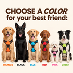 Amble Hound No-Pull Harness