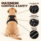 Amble Hound No-Pull Harness