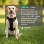 Amble Hound No-Pull Harness