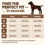 Amble Hound No-Pull Harness